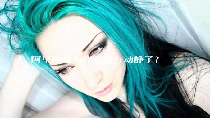 阿里网盘为什么没有动静了?