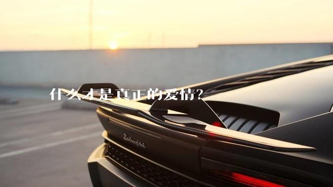 什么才是真正的爱情?