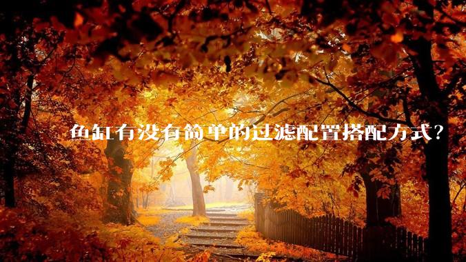 鱼缸有没有简单的过滤配置搭配方式?
