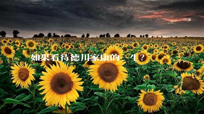 如果看待德川家康的一生?