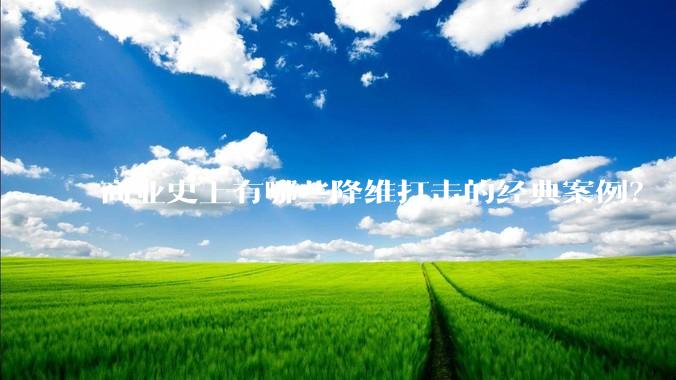 商业史上有哪些降维打击的经典案例?