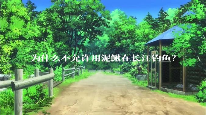 为什么不允许用泥鳅在长江钓鱼?