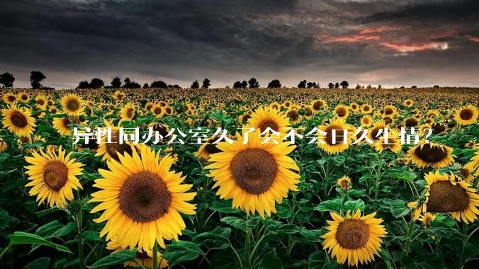 异性同办公室久了会不会日久生情?