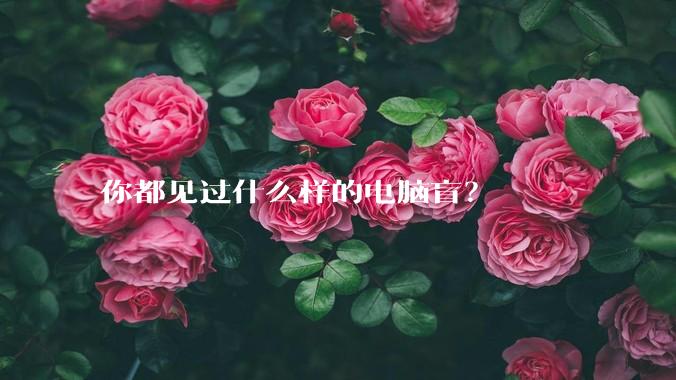 你都见过什么样的电脑盲?