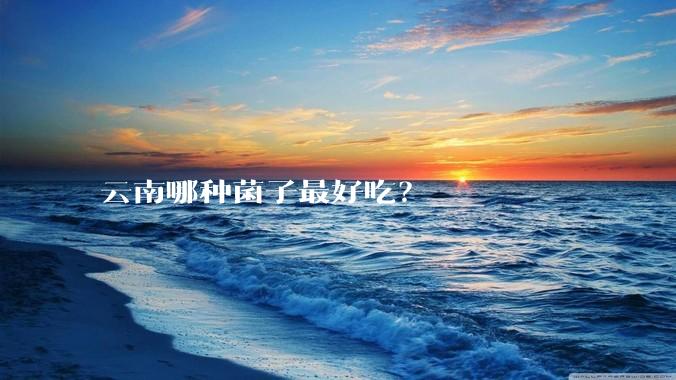 云南哪种菌子最好吃?