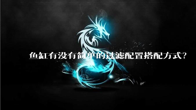鱼缸有没有简单的过滤配置搭配方式?