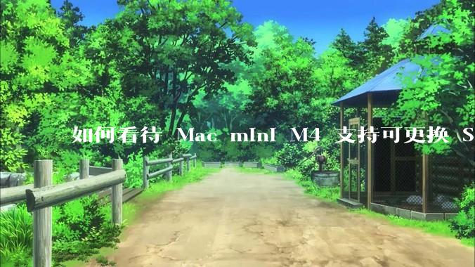 如何看待 Mac mini M4 支持可更换 SSD?