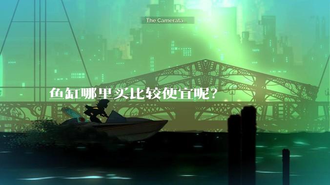 鱼缸哪里买比较便宜呢?