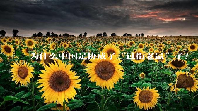 为什么中国足协成了“过街老鼠”了?