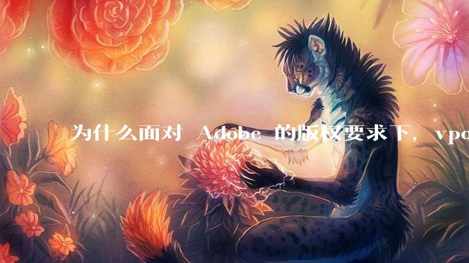 为什么面对 Adobe 的版权要求下,vposy 大神还能从容不迫?