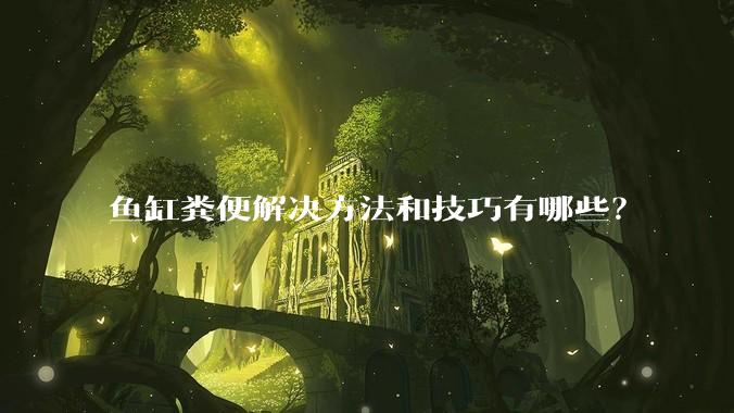 鱼缸粪便解决方法和技巧有哪些?