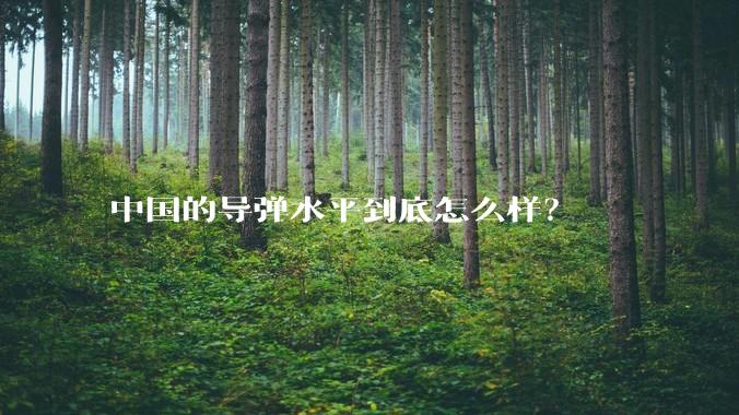 中国的导弹水平到底怎么样?