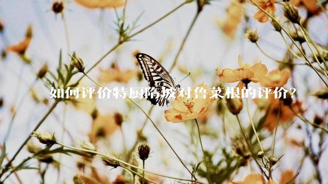 如何评价特厨隋坡对鲁菜根的评价?