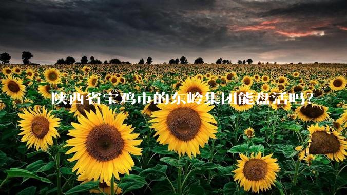 陕西省宝鸡市的东岭集团能盘活吗?
