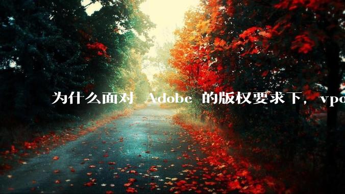 为什么面对 Adobe 的版权要求下,vposy 大神还能从容不迫?