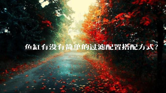 鱼缸有没有简单的过滤配置搭配方式?