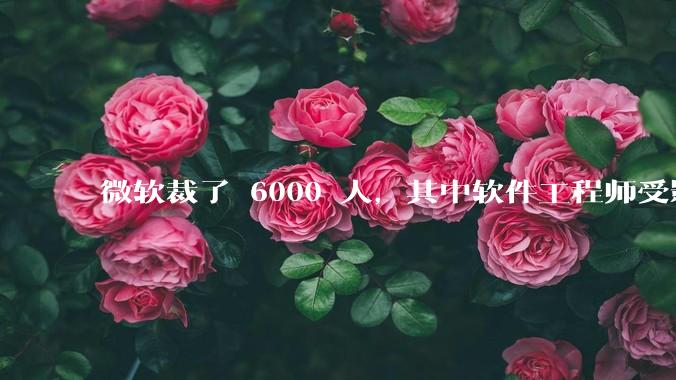 微软裁了 6000 人,其中软件工程师受影响最大,这会给整个软件行业的人才流动带来怎样的连锁反应?