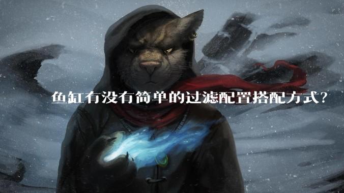 鱼缸有没有简单的过滤配置搭配方式?