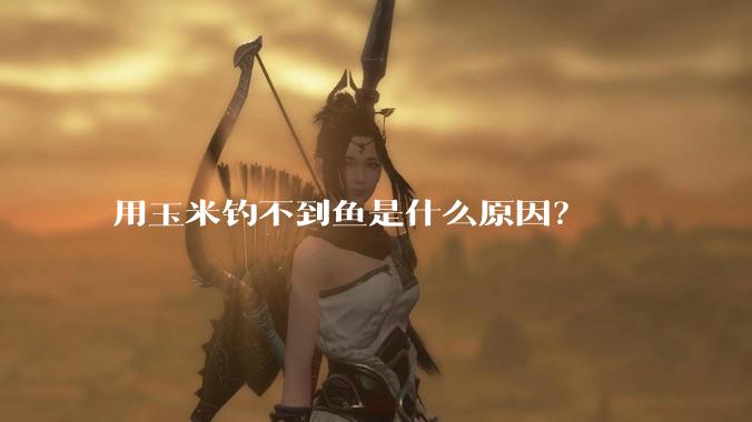 用玉米钓不到鱼是什么原因?