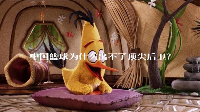 中国篮球为什么出不了顶尖后卫?