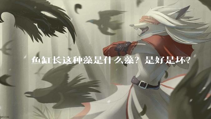 鱼缸长这种藻是什么藻?是好是坏?