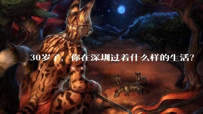 30岁了,你在深圳过着什么样的生活?