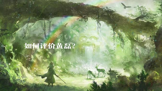 如何评价黄磊?