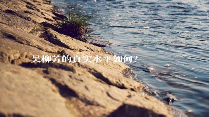 吴柳芳的真实水平如何?