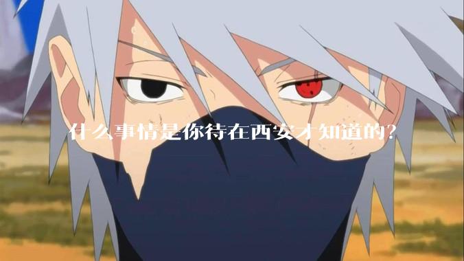 什么事情是你待在西安才知道的?