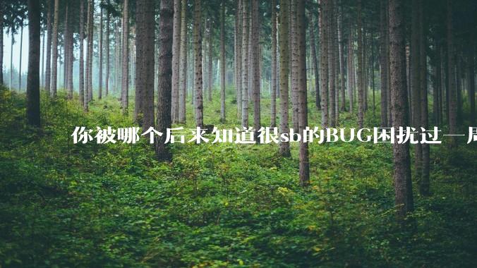 你被哪个后来知道很sb的BUG困扰过一周以上吗?
