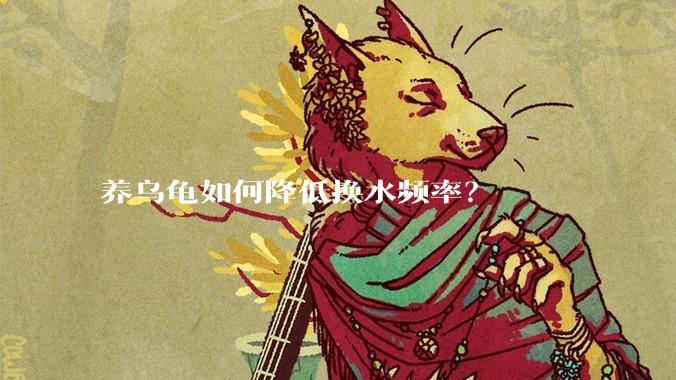 养乌龟如何降低换水频率?
