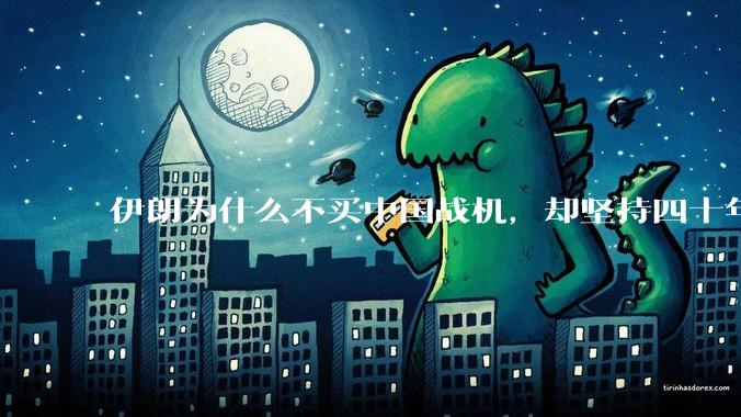 伊朗为什么不买中国战机,却坚持四十年用老旧的苏联米格29、美国F14雄猫战斗机?