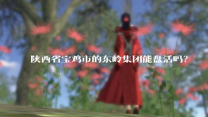 陕西省宝鸡市的东岭集团能盘活吗?