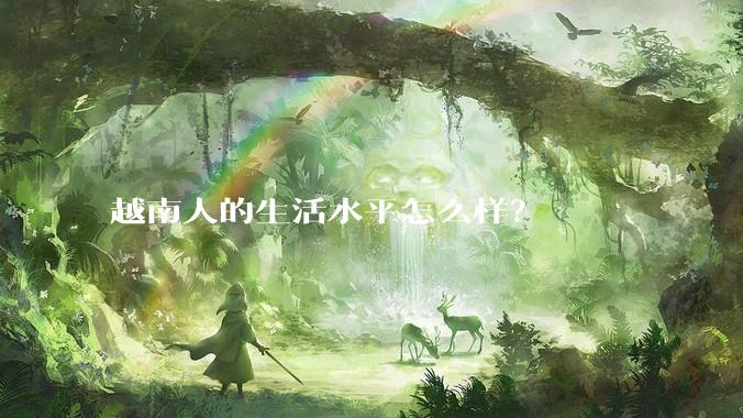 越南人的生活水平怎么样?