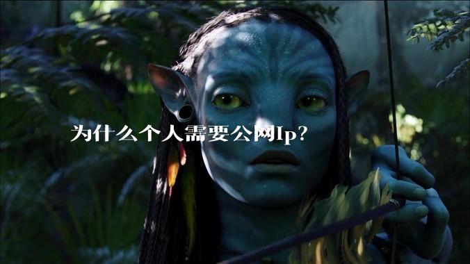 为什么个人需要公网ip?