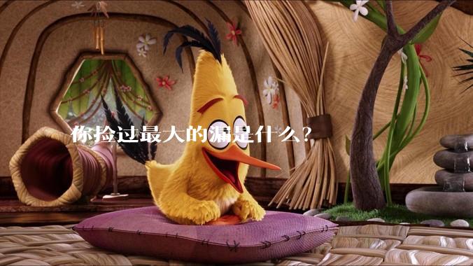 你捡过最大的漏是什么?