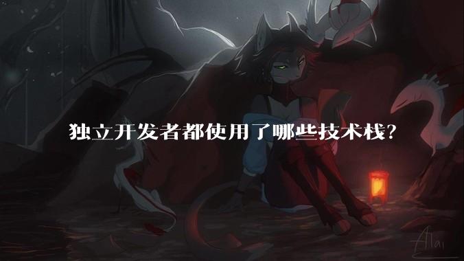 独立开发者都使用了哪些技术栈?