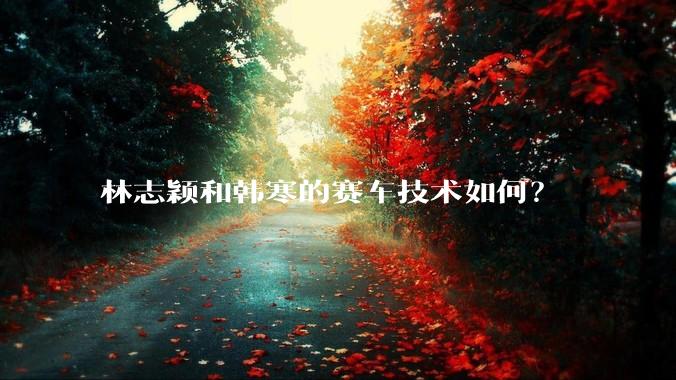 林志颖和韩寒的赛车技术如何?