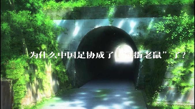 为什么中国足协成了“过街老鼠”了?