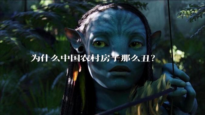 为什么中国农村房子那么丑?