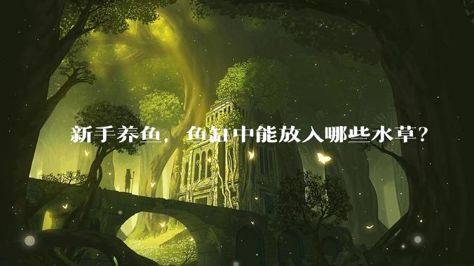 新手养鱼,鱼缸中能放入哪些水草?