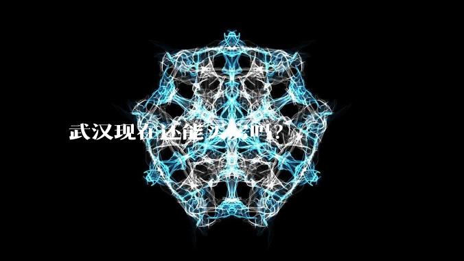 武汉现在还能买房吗?