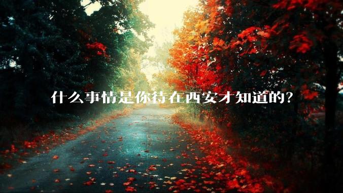 什么事情是你待在西安才知道的?