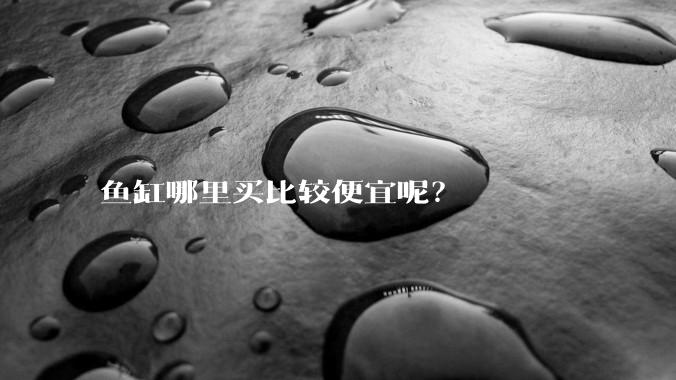 鱼缸哪里买比较便宜呢?