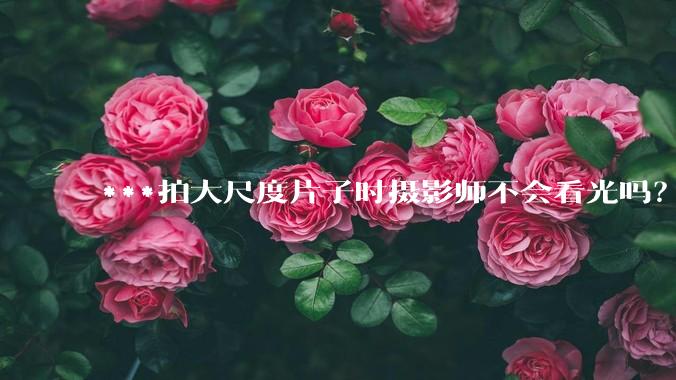***拍大尺度片子时摄影师不会看光吗?