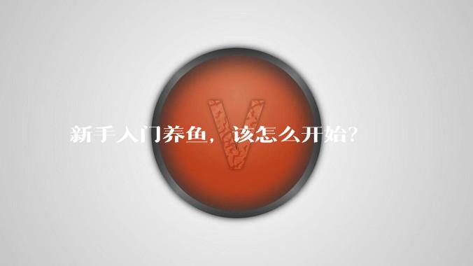 新手入门养鱼,该怎么开始?