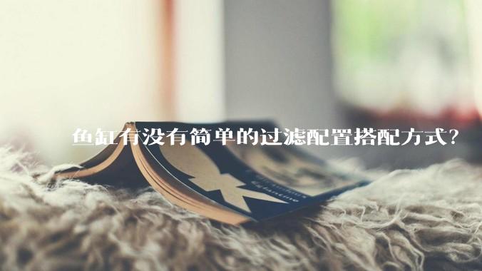 鱼缸有没有简单的过滤配置搭配方式?