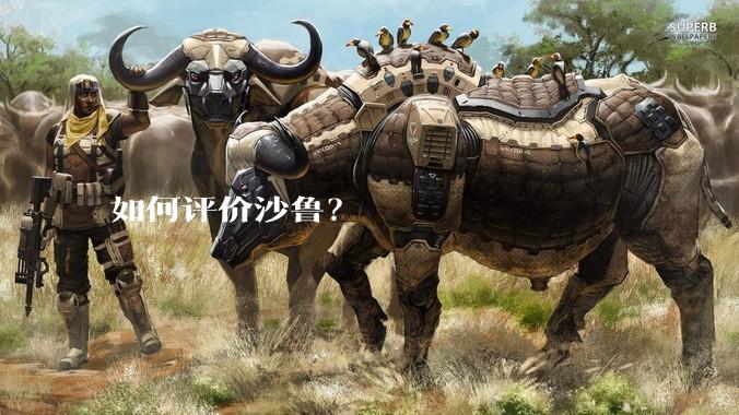 如何评价沙鲁?