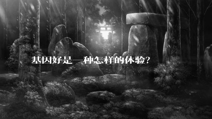 基因好是一种怎样的体验?