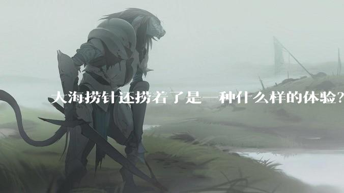 大海捞针还捞着了是一种什么样的体验?